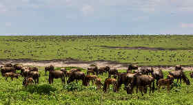 Tansania Gruppenreisen
